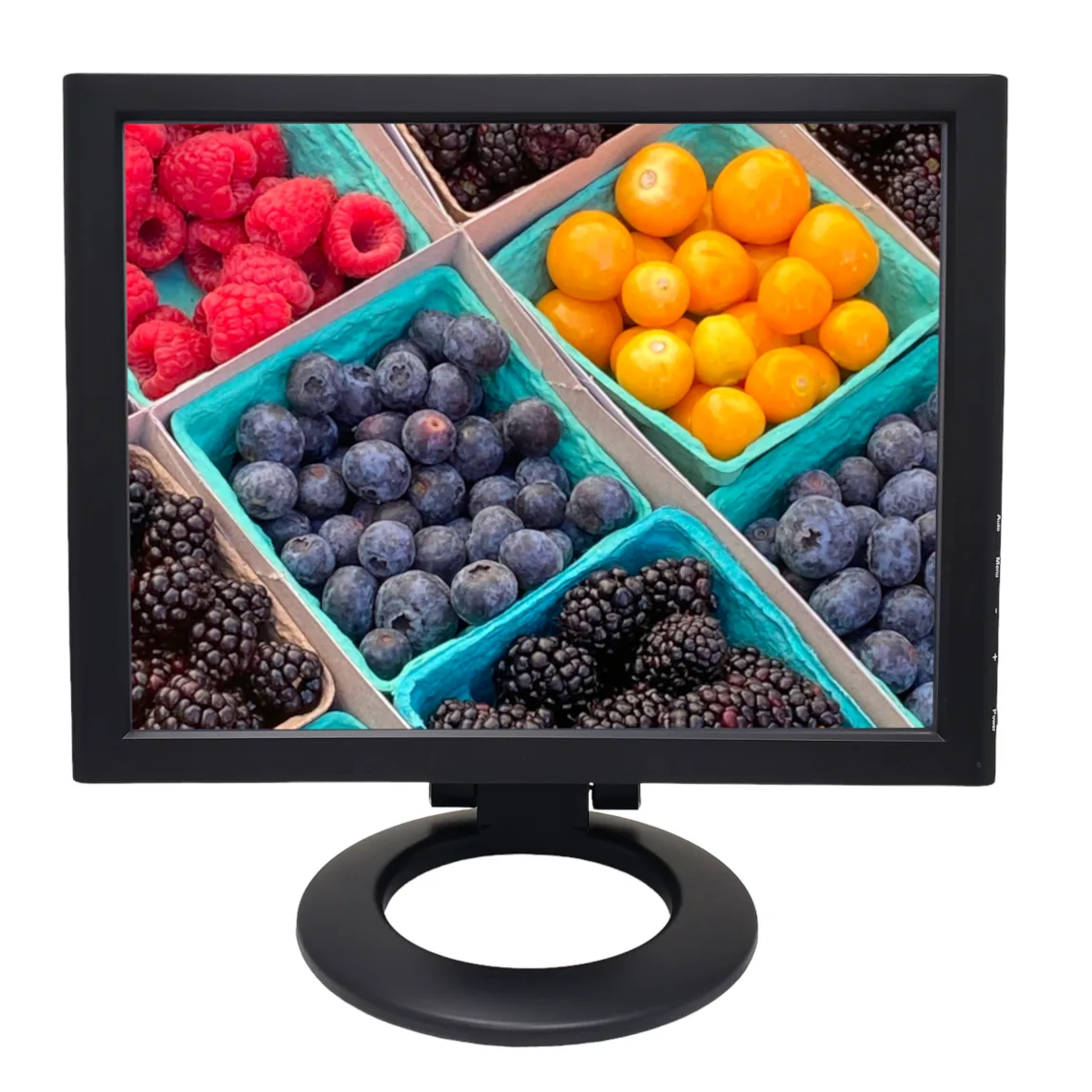 VIEWERA VIEWERA V158TP 15" portable monitor 1024x768 5-wire resistive touchscreen — product photo