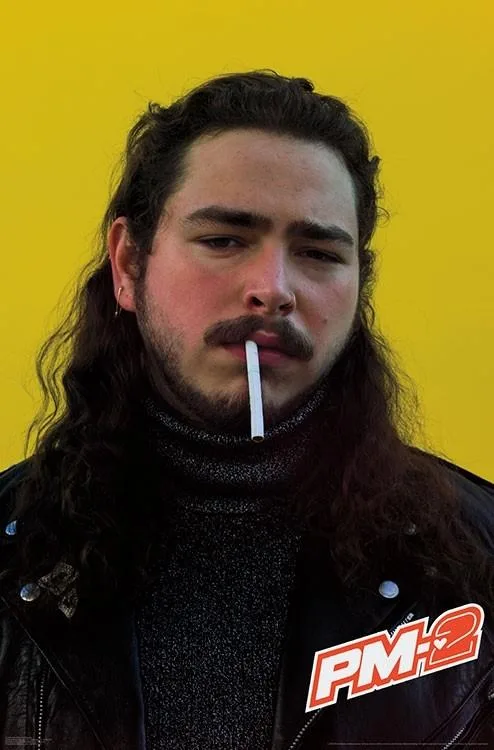 Post Malone Smoke poster print 22 by 34 inches on heavy paper