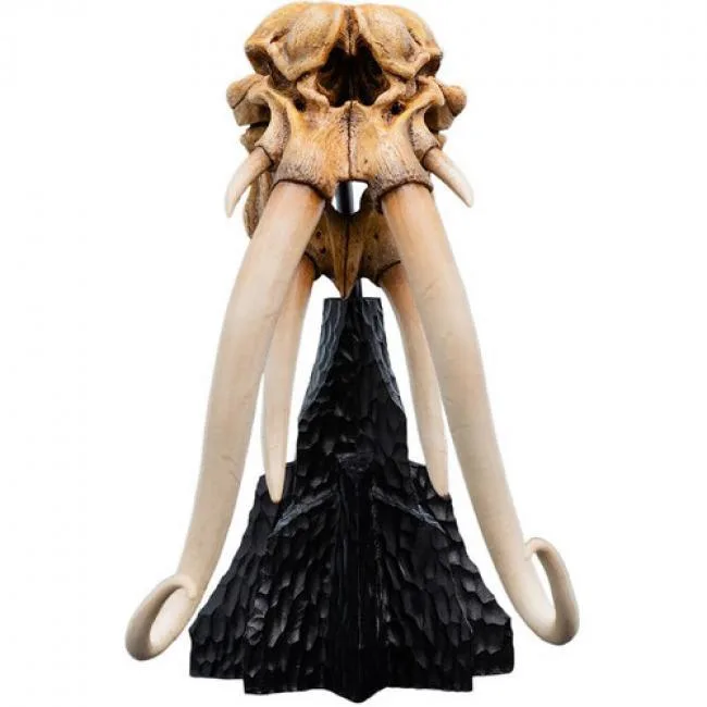 WETA WORKSHOP WETA WORKSHOP 86-13-04691 Lord of the Rings Mumak Skull Polystone Action Figure — product photo