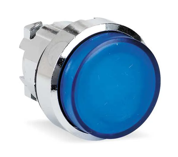 Schneider Electric blue extended push button 22 mm metal head and bezel