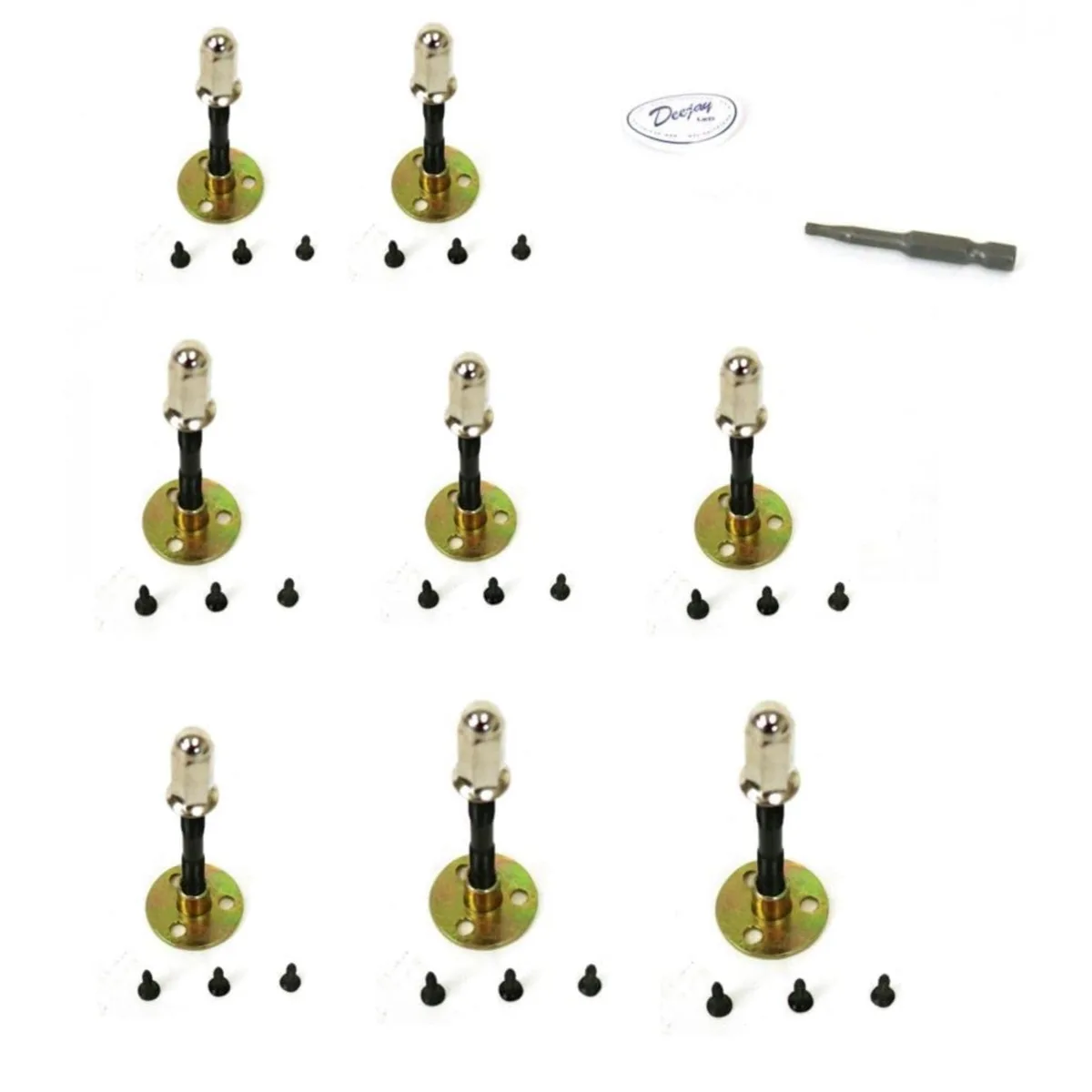 Clear plastic bag containing multiple metal mounting screws for large speakers