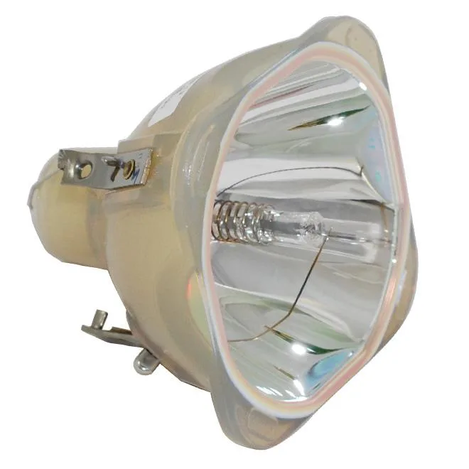 Philips Philips 9281 288 05390 DLP Replacement Lamp — product photo