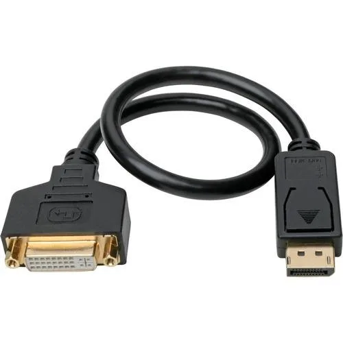 Tripp Lite Tripp Lite P134-001-GC DisplayPort to DVI adapter cable 1 ft — product photo
