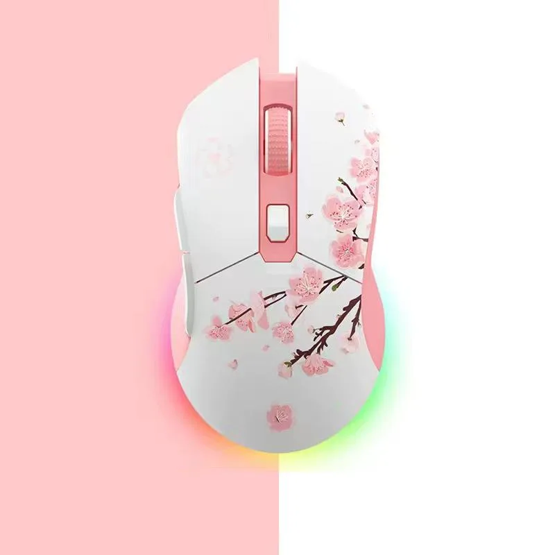 NShi NShi EM901 Wireless Gaming Mouse 600-6000 DPI 50M Clicks White — product photo