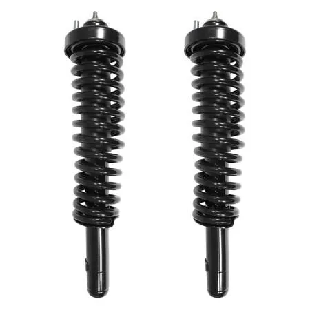 Unity front complete strut assembly kit, two silver struts with coil springs and top mounts