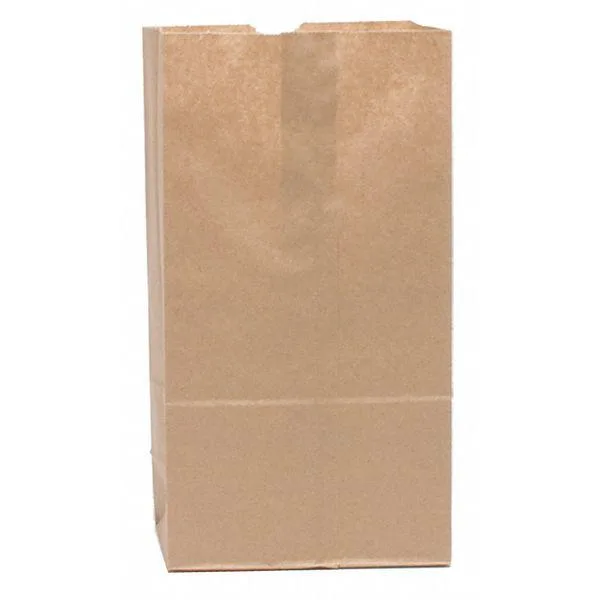 Value Brand Value Brand Grocery Bag Flat Bottom 3# Brown Kraft Pk500 — product photo
