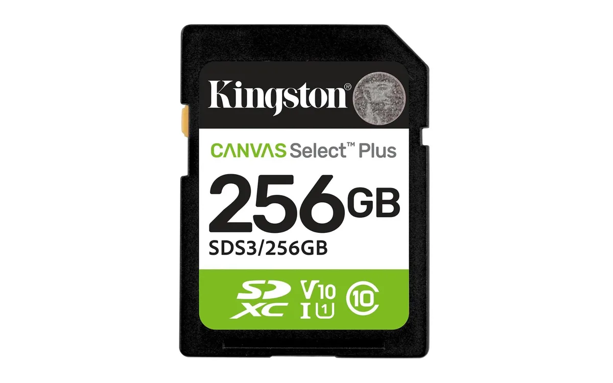 Kingston SD Canvas Select Plus 256GB memory card, standard SD size, matte finish