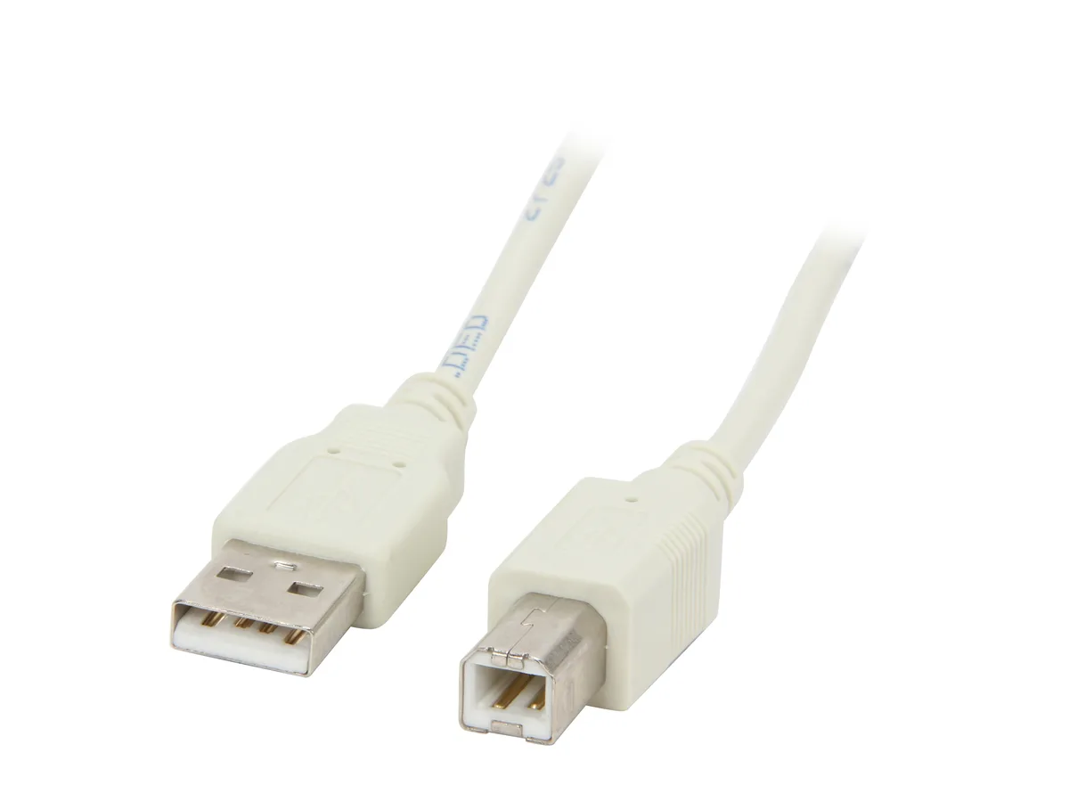 Kaybles Kaybles USB-AB-6FT USB 2.0 A Male to B Male cable 480 Mbps Beige — product photo