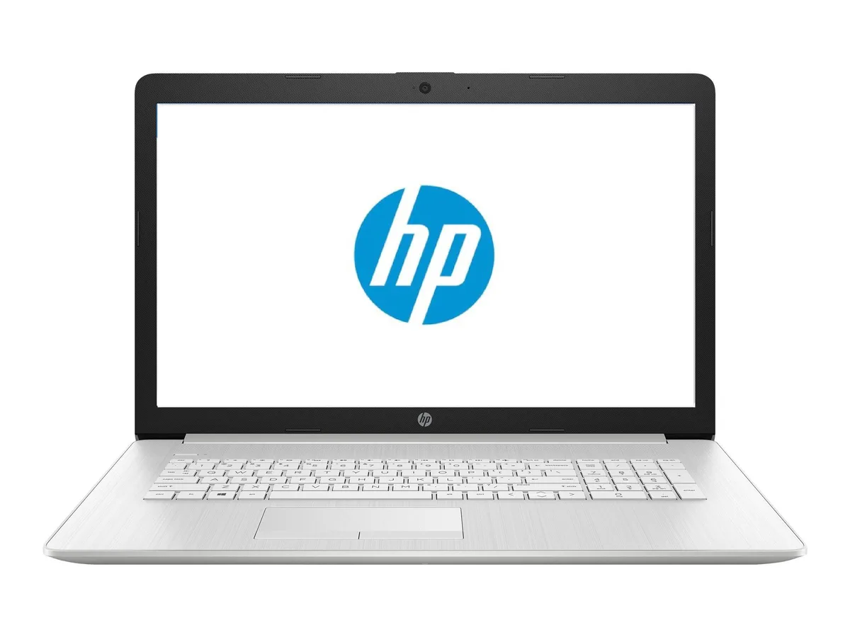 HP HP 17.3 Laptop i5-10210U 32GB 256GB Linux Mint Cinnamon Silver — product photo