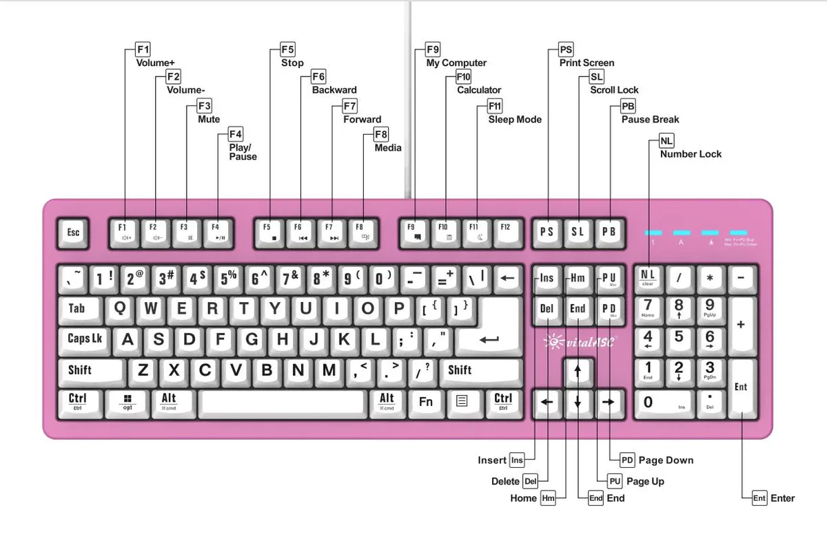 vitalASC vitalASC 104-Key Large Print Keyboard Pink — product photo