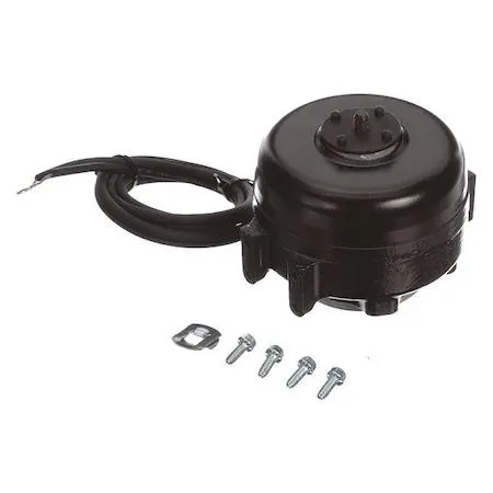 Transparent unit bearing motor with rear double foot mounting