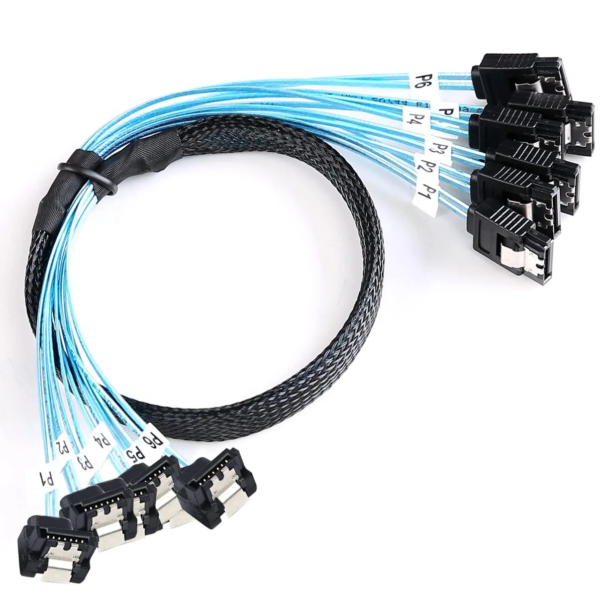 Six black and blue SATA cables, straight to ninety-degree connectors, half sleeved, labelled P1 to P6