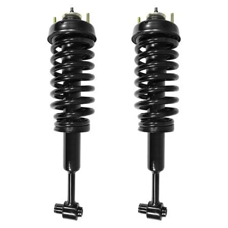 Pair of front complete strut assemblies, silver metal with black coil springs, ready to install