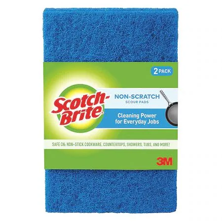 Pack of ten blue rectangular scouring pads
