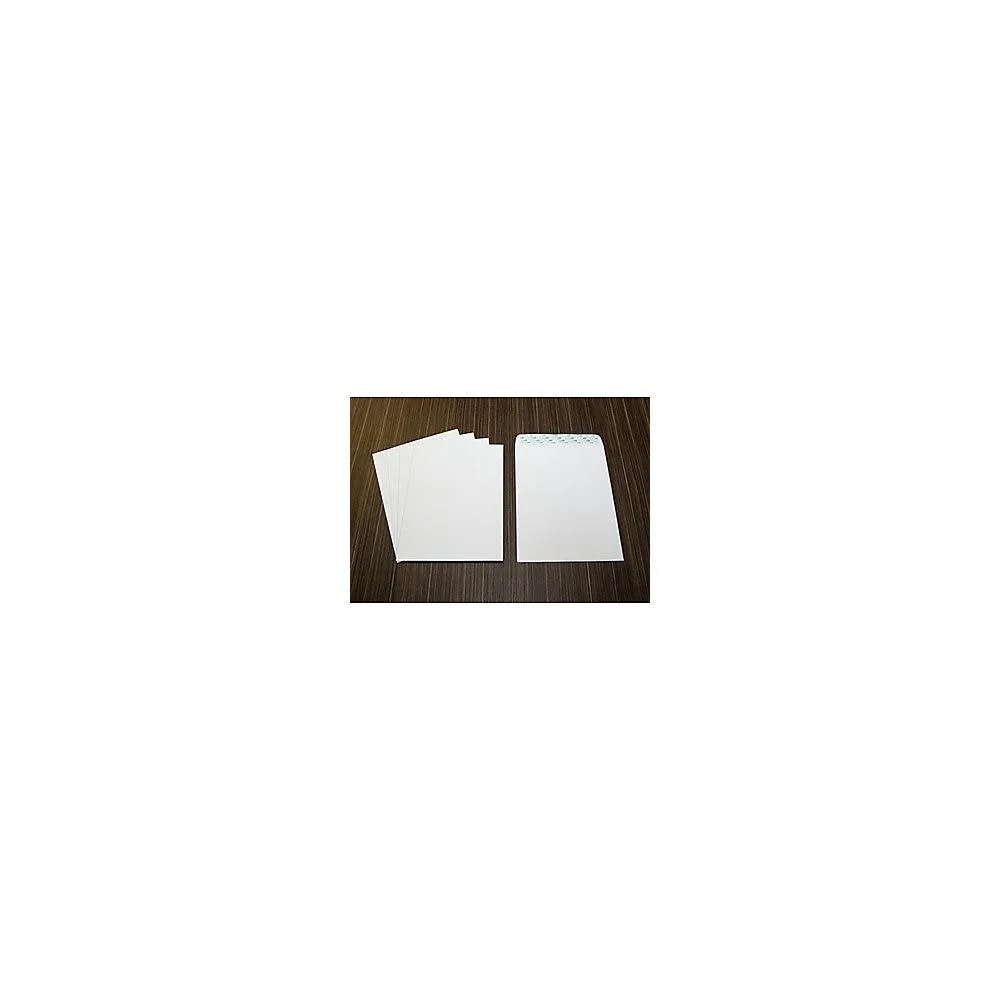 Business Source Business Source 65450 Self-Seal Catalog Envelopes 28 lb 9x12 100/Box — product photo