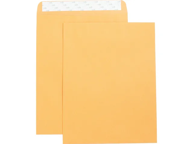 Business Source Business Source 42121 Kraft Envelope 10 x 13 28 lb 250 Box — product photo