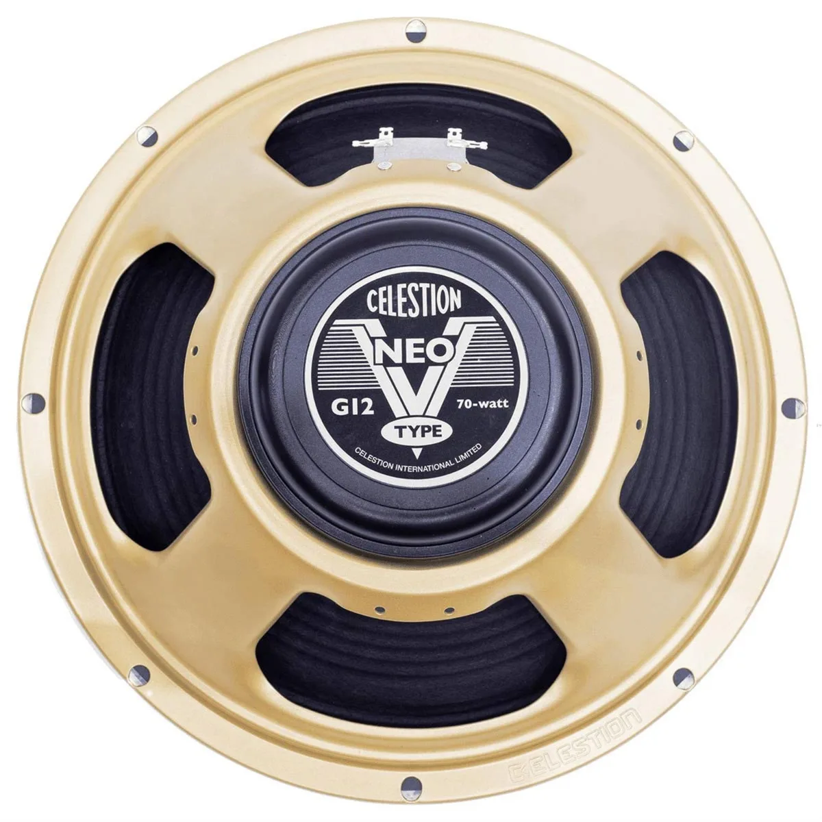 Black cylindrical guitar woofer with silver magnet and speaker cone