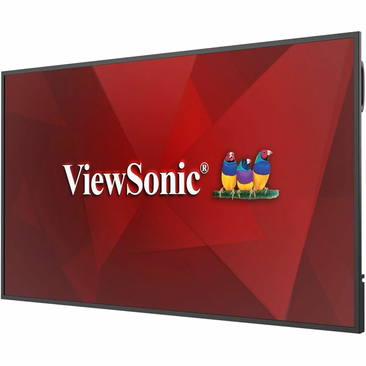 ViewSonic ViewSonic CDE6531 65" 4K UHD commercial display — product photo