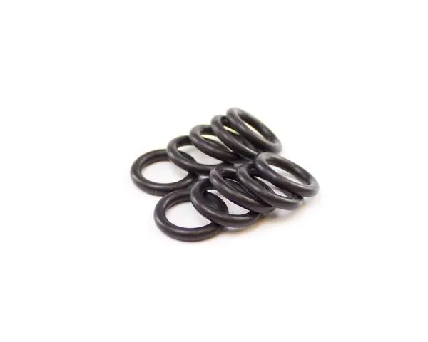 Ten black rubber O-rings in a clear bag