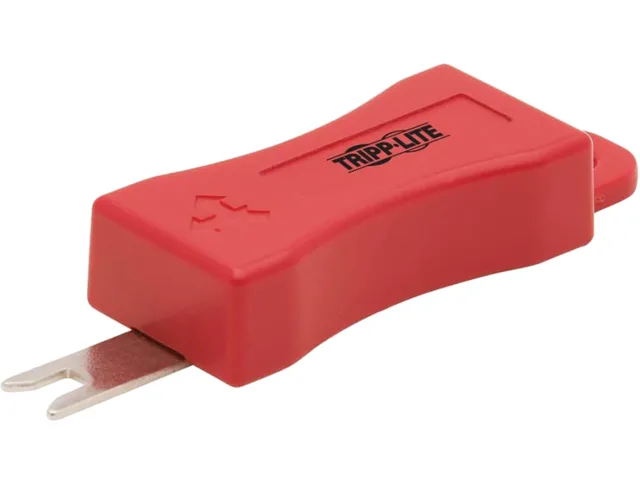 Two small red plastic security keys for RJ45 plug locks
