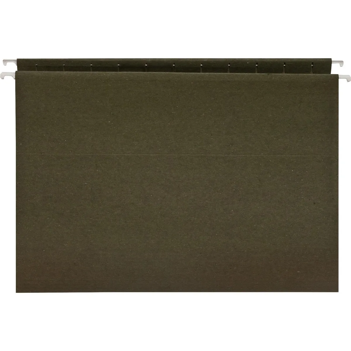 Business Source Business Source 26528 hanging file folders 25 box green — product photo
