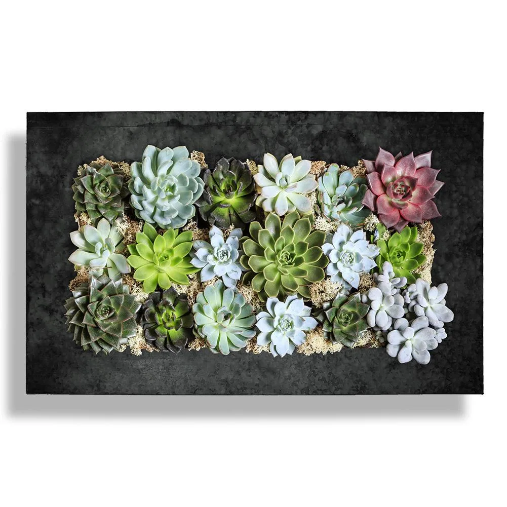 Vandue Corporation Vandue Corporation SP-HOR63-BLACKZINC 18 Pocket Horizontal Plant Stand — product photo
