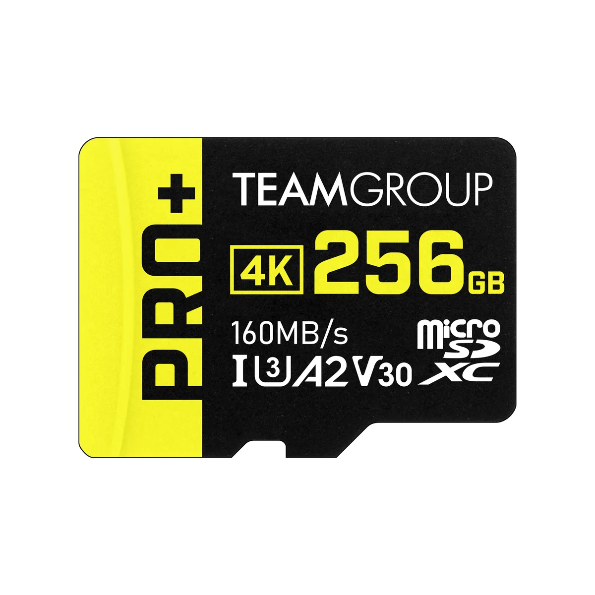 Team Group Team Group TPPMSDX256GIA2V3003 256GB microSDXC memory card — product photo