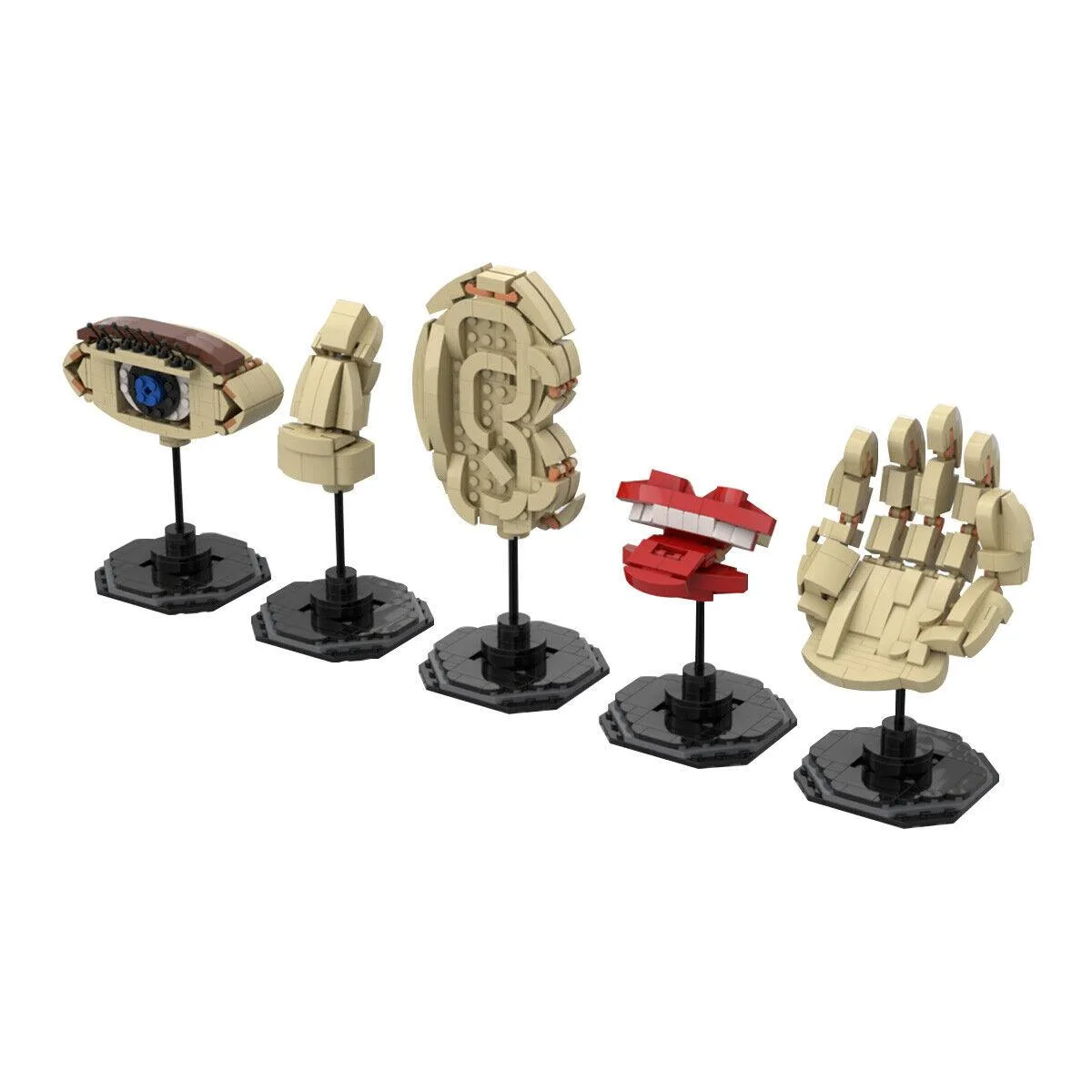 ZITIANYOUBUILD ZITIANYOUBUILD The Five Senses Educational MOC Building Set — product photo