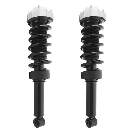 Two silver rear strut assemblies with coiled springs and top mounts