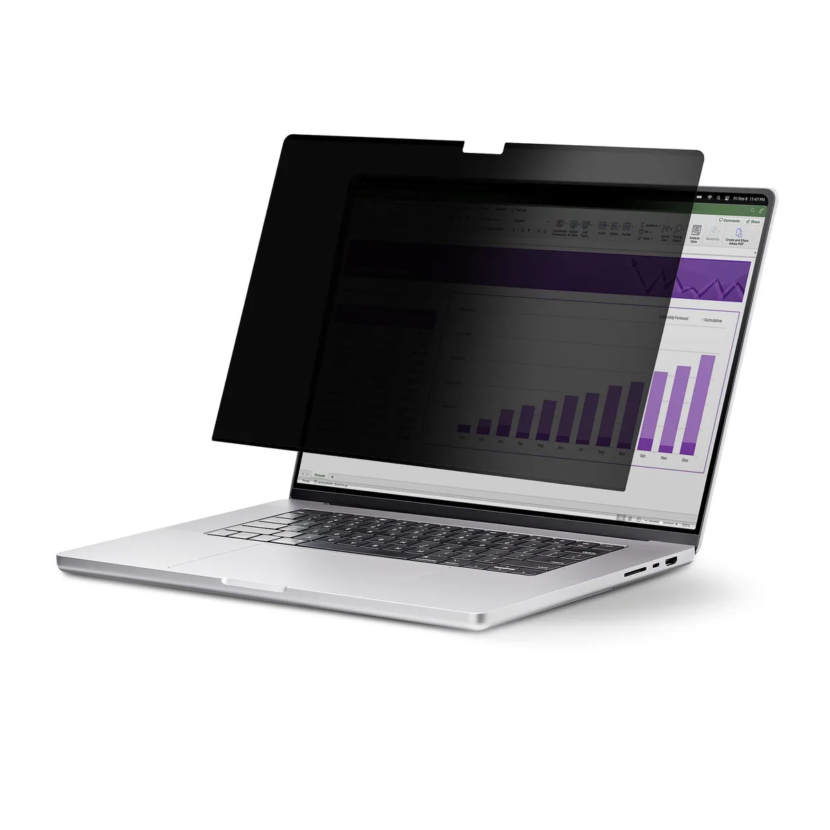 STARTECH STARTECH 13SP-PRIVACY-SCREEN 13" privacy accessory +/-30° 51% blue light — product photo
