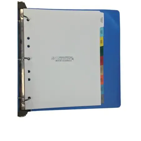 Pack of ten transparent side-open chart dividers with nine preprinted tabs
