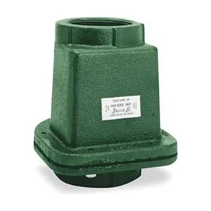 Zoeller Zoeller 30-0152 2" FNPT Cast Iron Check Valve — product photo