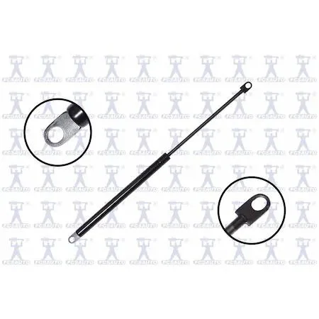 FCS Struts 84436 transparent lift support hatch, automotive accessory
