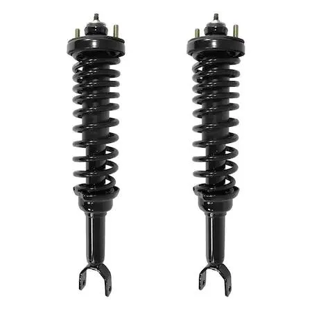 Pair of silver rear strut assemblies with coil springs and top mounts