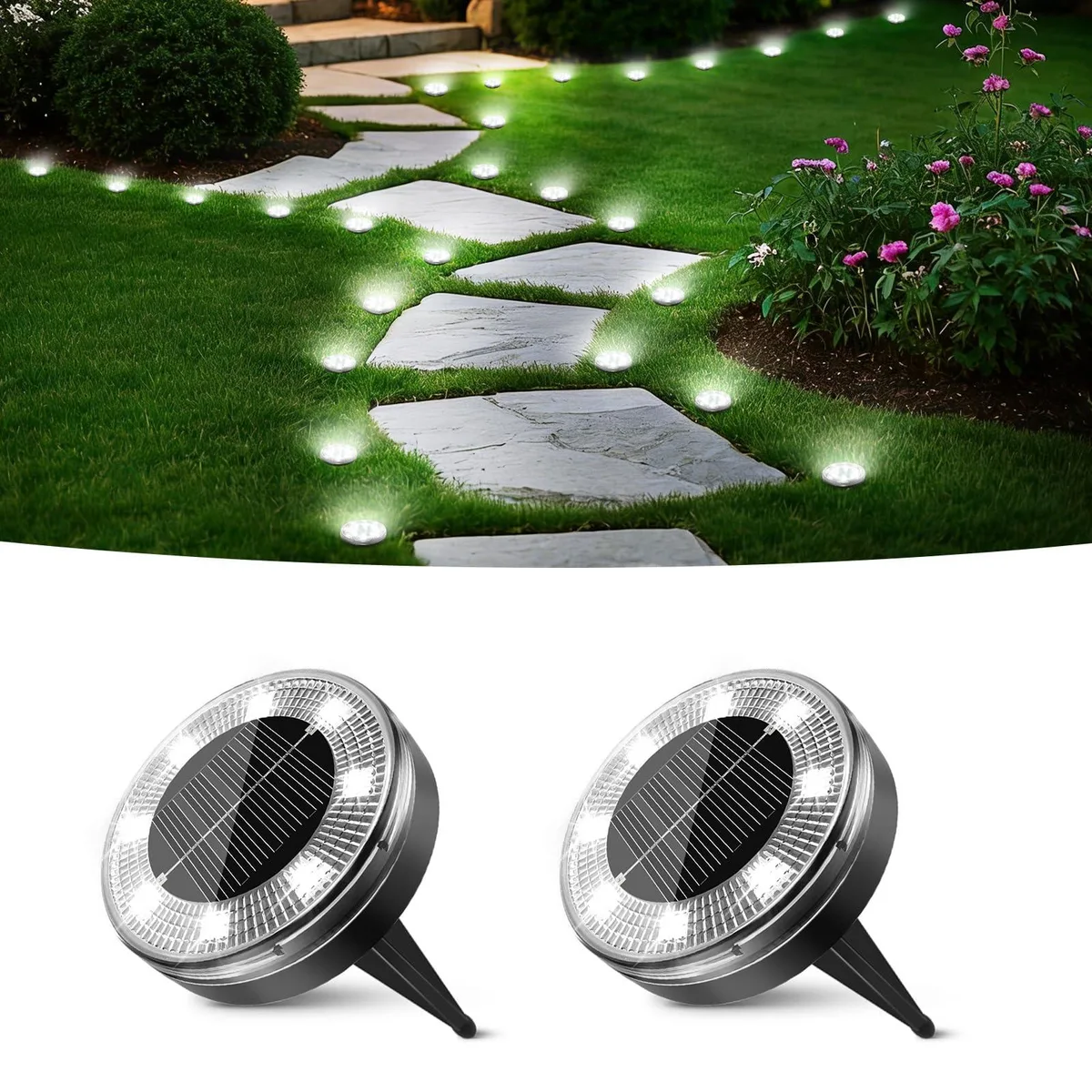 Two small round white plastic discs lying flat on dark soil