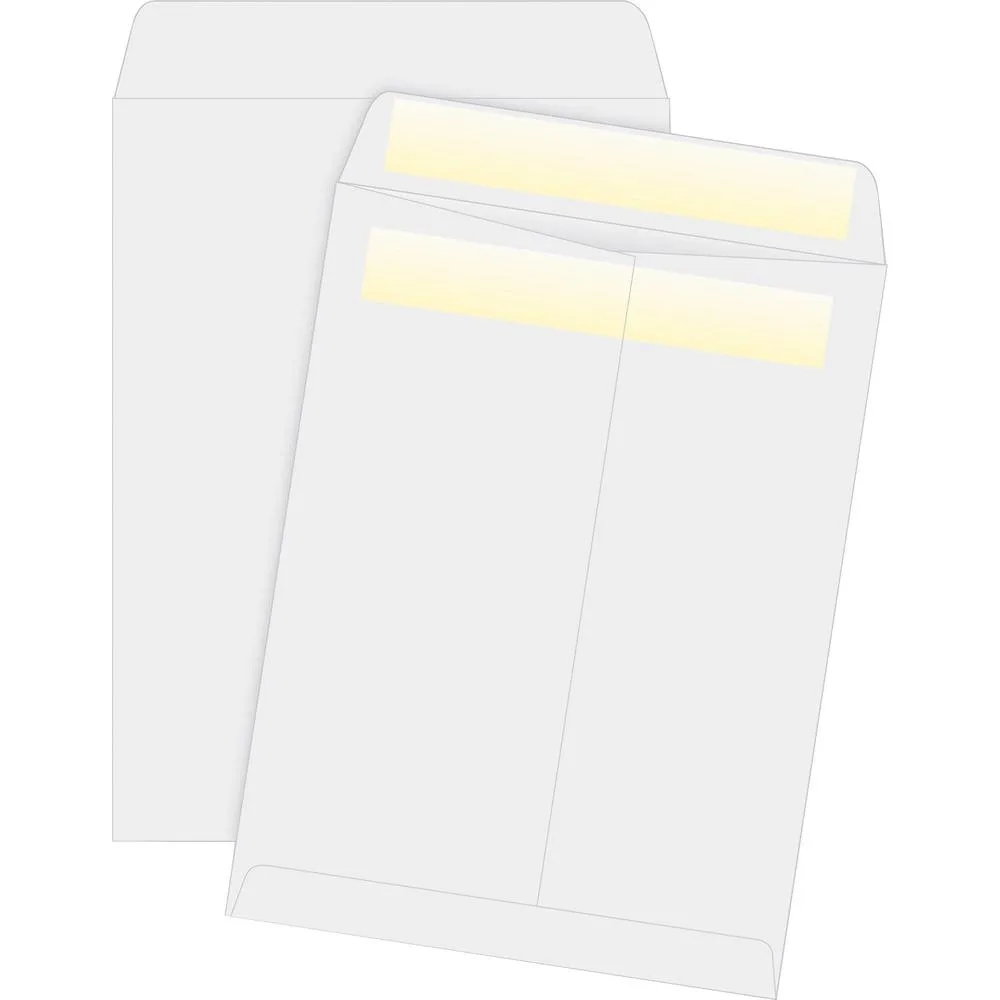 Business Source Business Source 4649 Envelopes 10x13 28lb White 100/BX — product photo