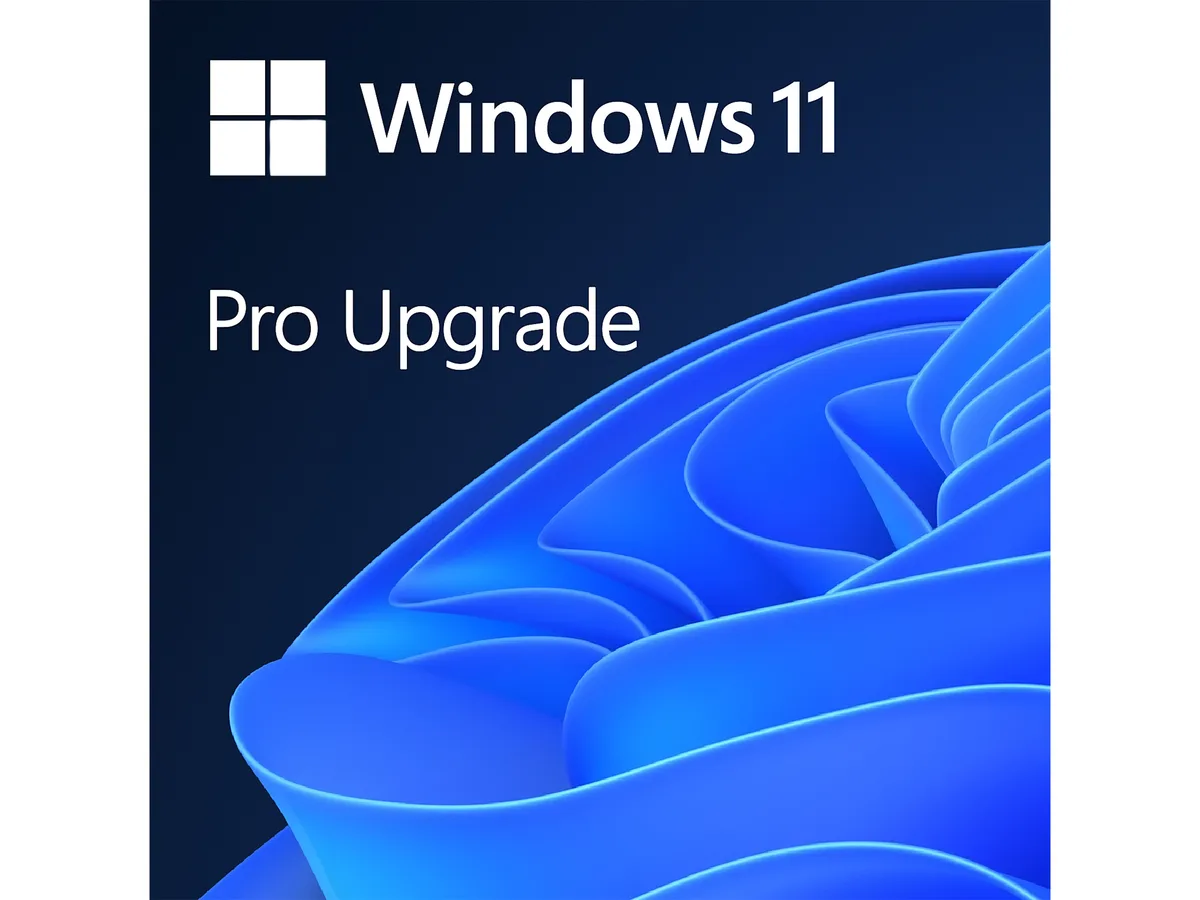 Microsoft Microsoft 5VR-00244 Windows 11 Pro Upgrade operating system — product photo