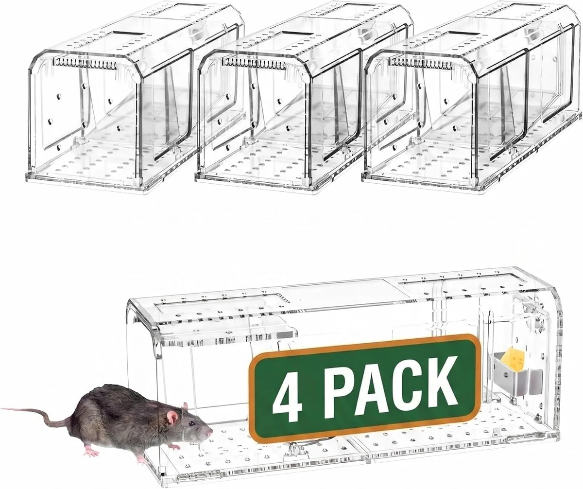 Four transparent plastic live-catch mouse traps in a row