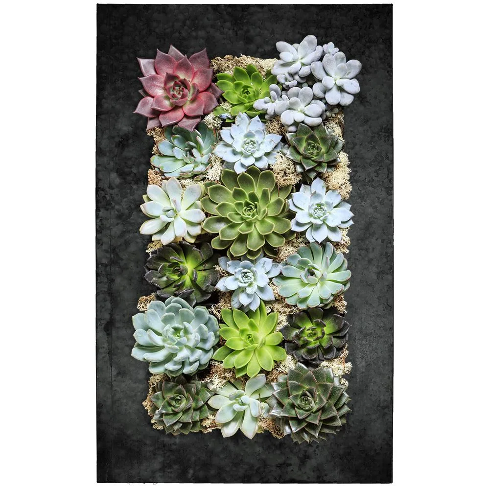 Vandue Corporation Vandue Corporation SP-HOR63-RUSTZINC 18 Pocket Wall Planter Rust Zinc — product photo