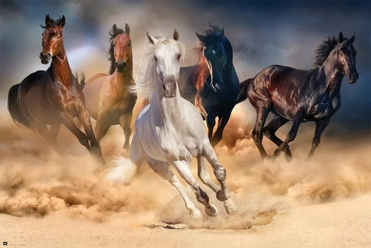 Posterazzi GPE5031 wall art poster 36 x 24 inches fine art print premium heavy stock paper five horses design