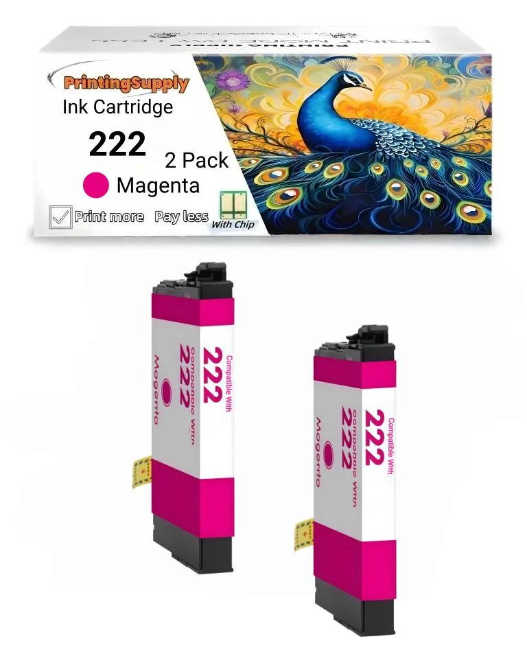 Aster Graphics Inc Aster Graphics Inc 222XL Ink Cartridge 2 Pack Black 550 pages — product photo