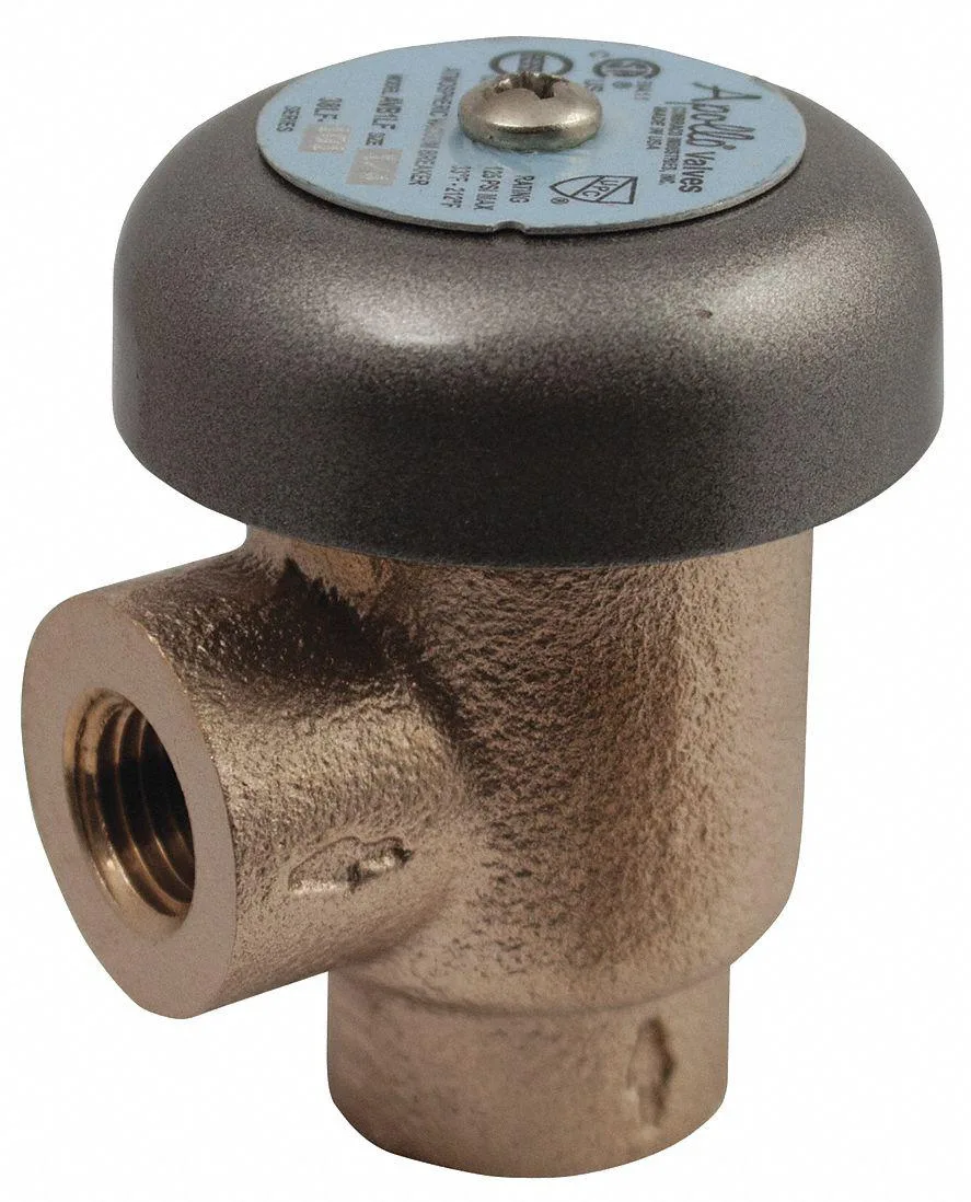 Small brass vacuum breaker with threaded FNPT connection and compact cylindrical body