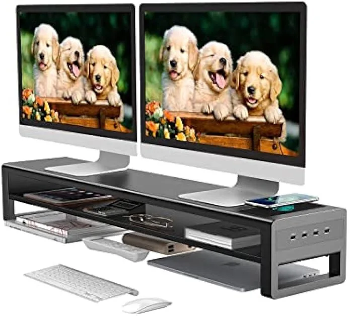 TAURKENAM TAURKENAM Dual Monitor Stand with Wireless Charging Pad and 4 USB 3.0 Hub Ports — product photo