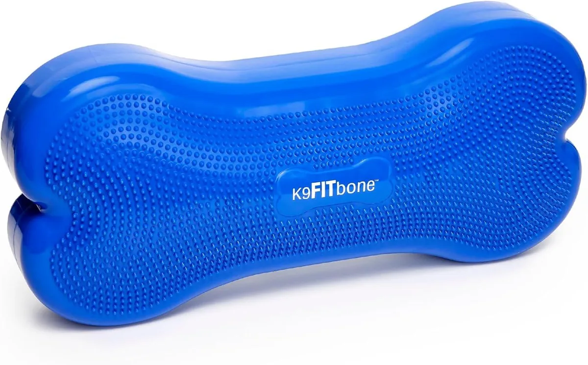 Inflatable giant bone-shaped dog balance platform, textured surface, blue colour