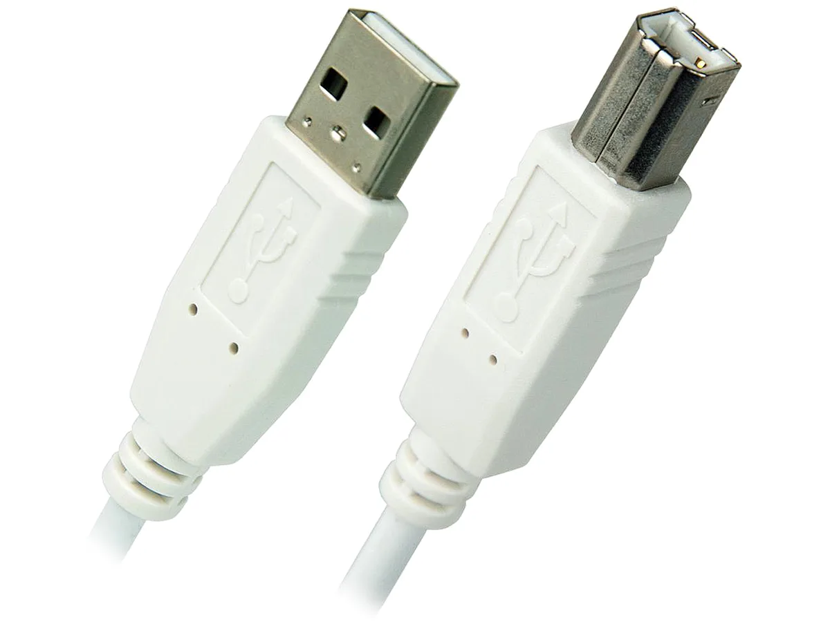 Nippon Labs Nippon Labs USB-6-AB-W-2P USB 2.0 A to B cable white 6 ft 2 pack — product photo