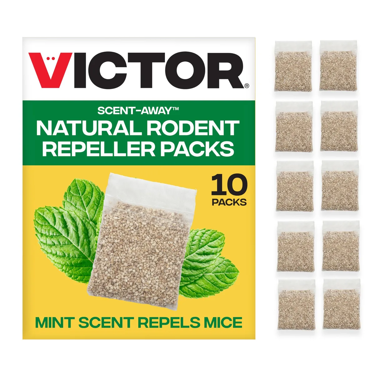 Ten breathable mesh pouches containing peppermint granules in a rectangular pack
