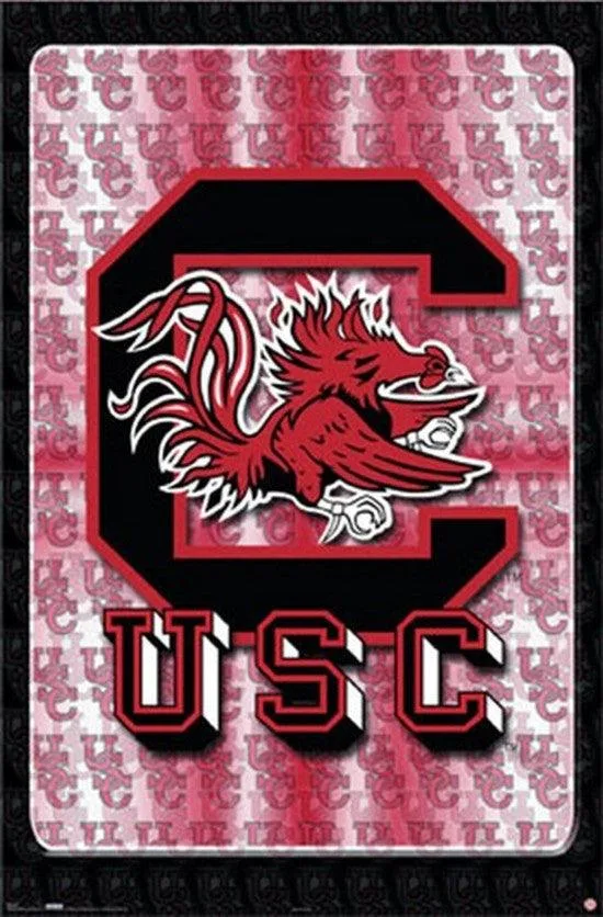 Rectangular poster print, twenty-four by thirty-six inches, glossy paper, South Carolina logo design, rolled in tube
