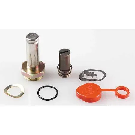ASCO Power Technologies ASCO 304352-V Valve Rebuild Kit 8262G226V 120/60 110/50 — product photo