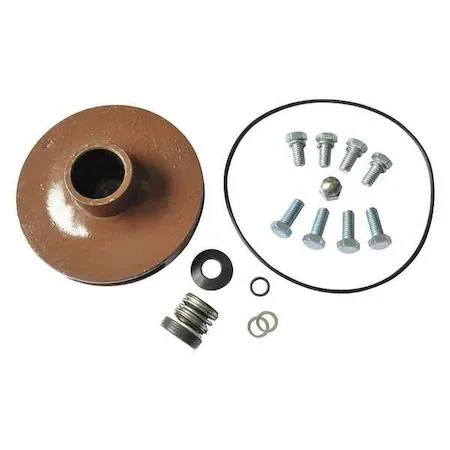 Dayton Dayton 21TH09 Repair Kit for 2ZXJ7 2ZXJ8 2ZXJ9 2ZXK1 accessory — product photo