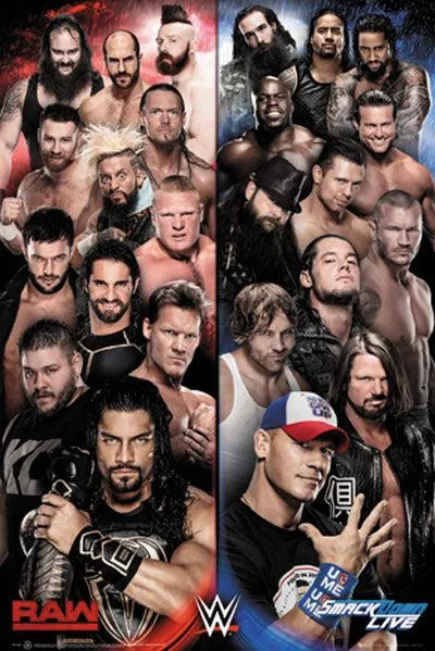 WWE Raw vs Smackdown poster print 22 x 34 inches on heavy paper